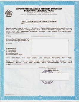 NPWP-SKT-SPPKP-SPT  Tax Consultation Medan, Website 